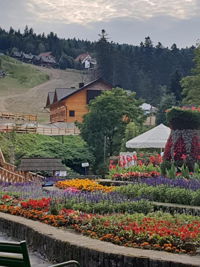 Alpina - Przy Wyciagach * Krynica Zdroj