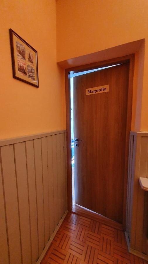 Alpina - Przy Wyciagach Apartment Krynica Zdroj