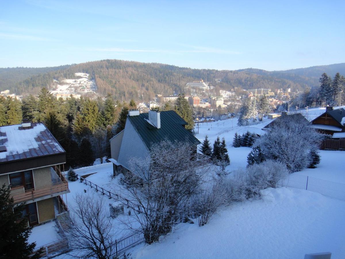Alpina - Przy Wyciagach Apartment